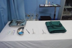 Nursing MH5